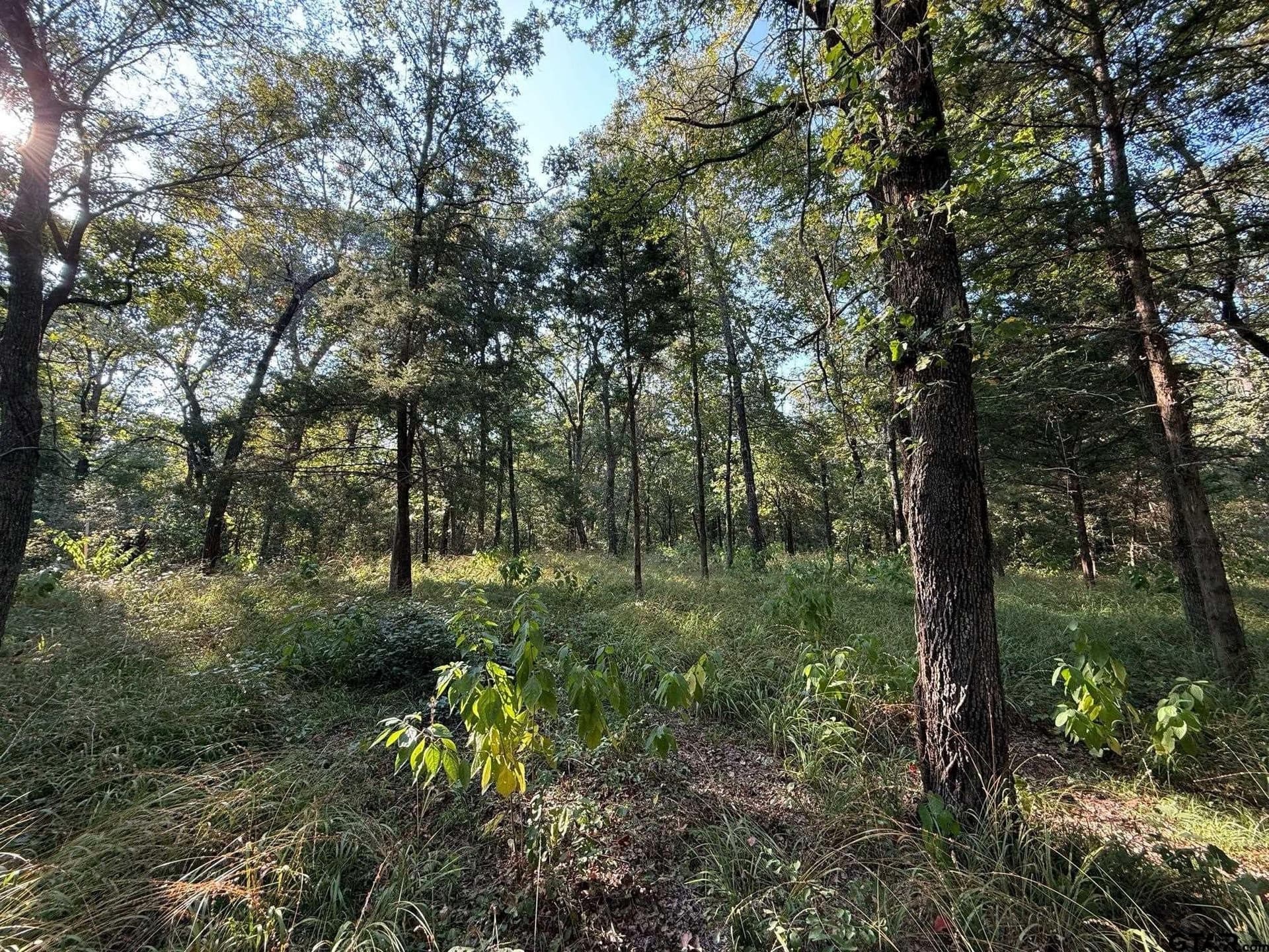 8.69 acres in Wood County - photo 28