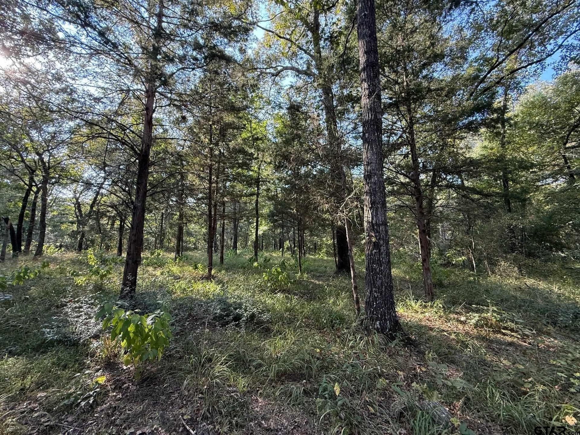 8.69 acres in Wood County - photo 25