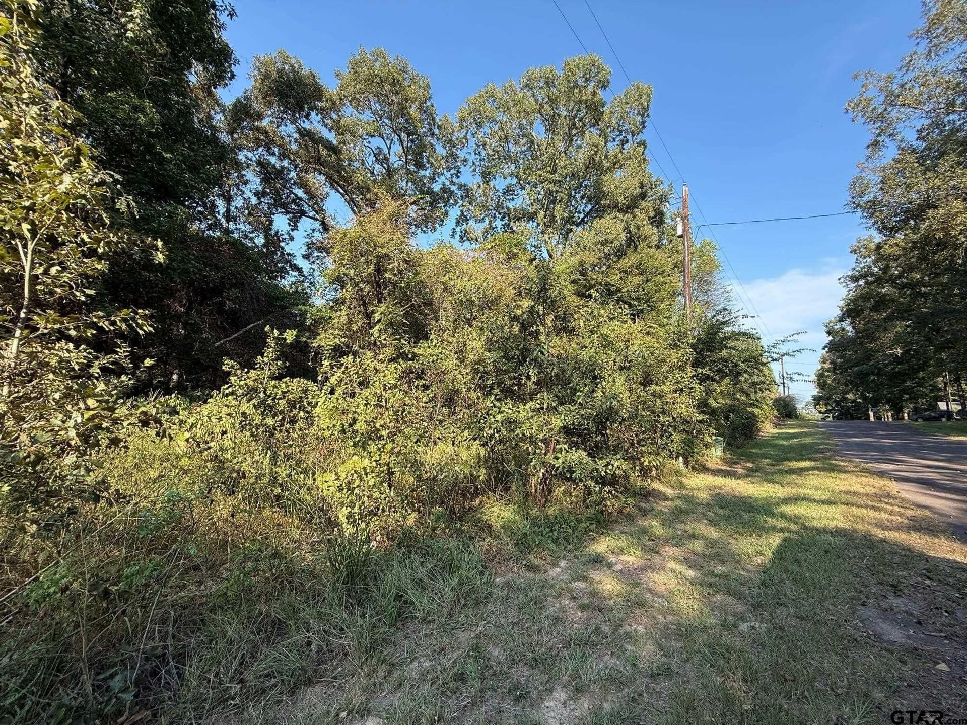 8.69 acres in Wood County - photo 16