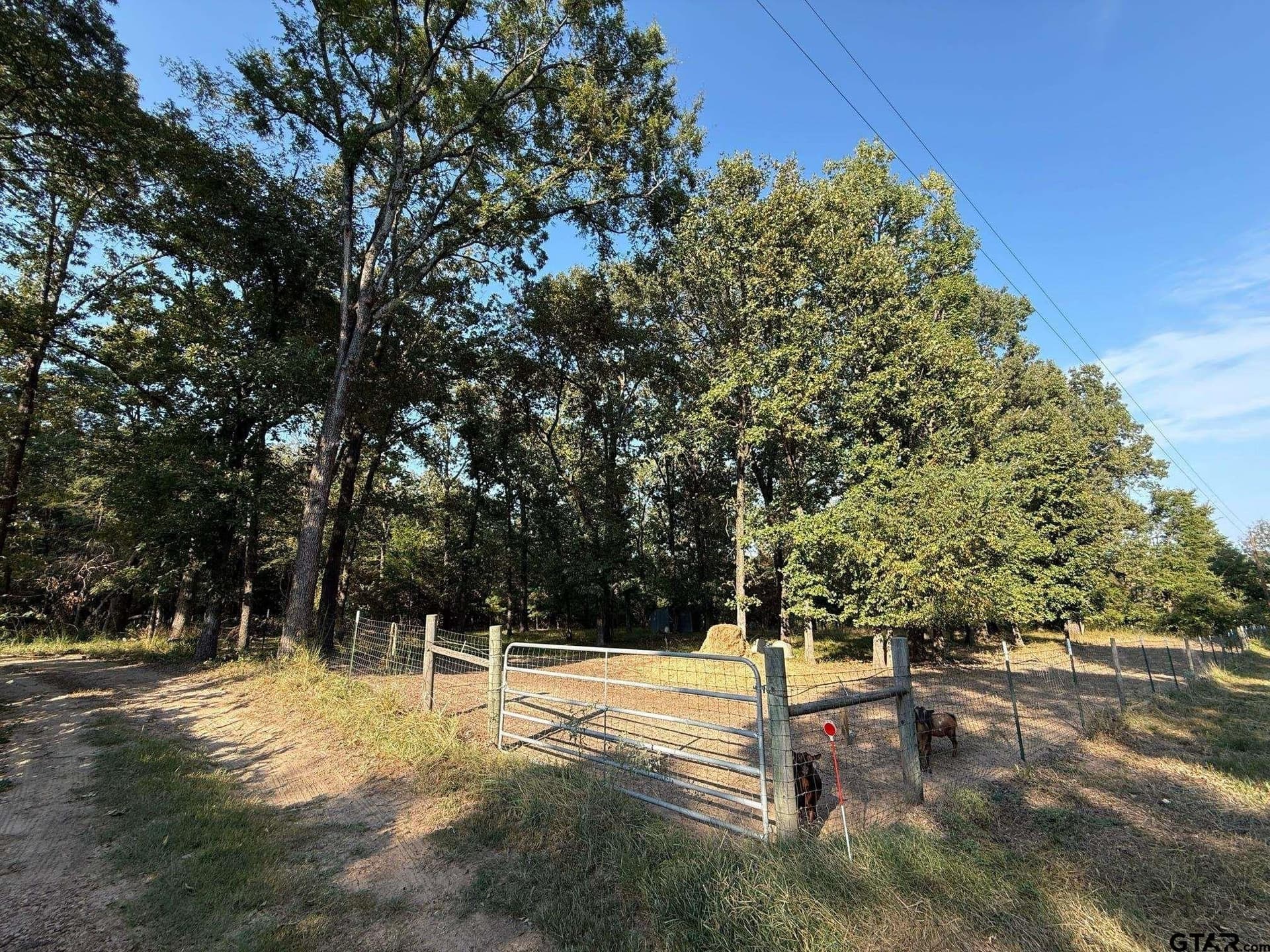 8.69 acres in Wood County - photo 12