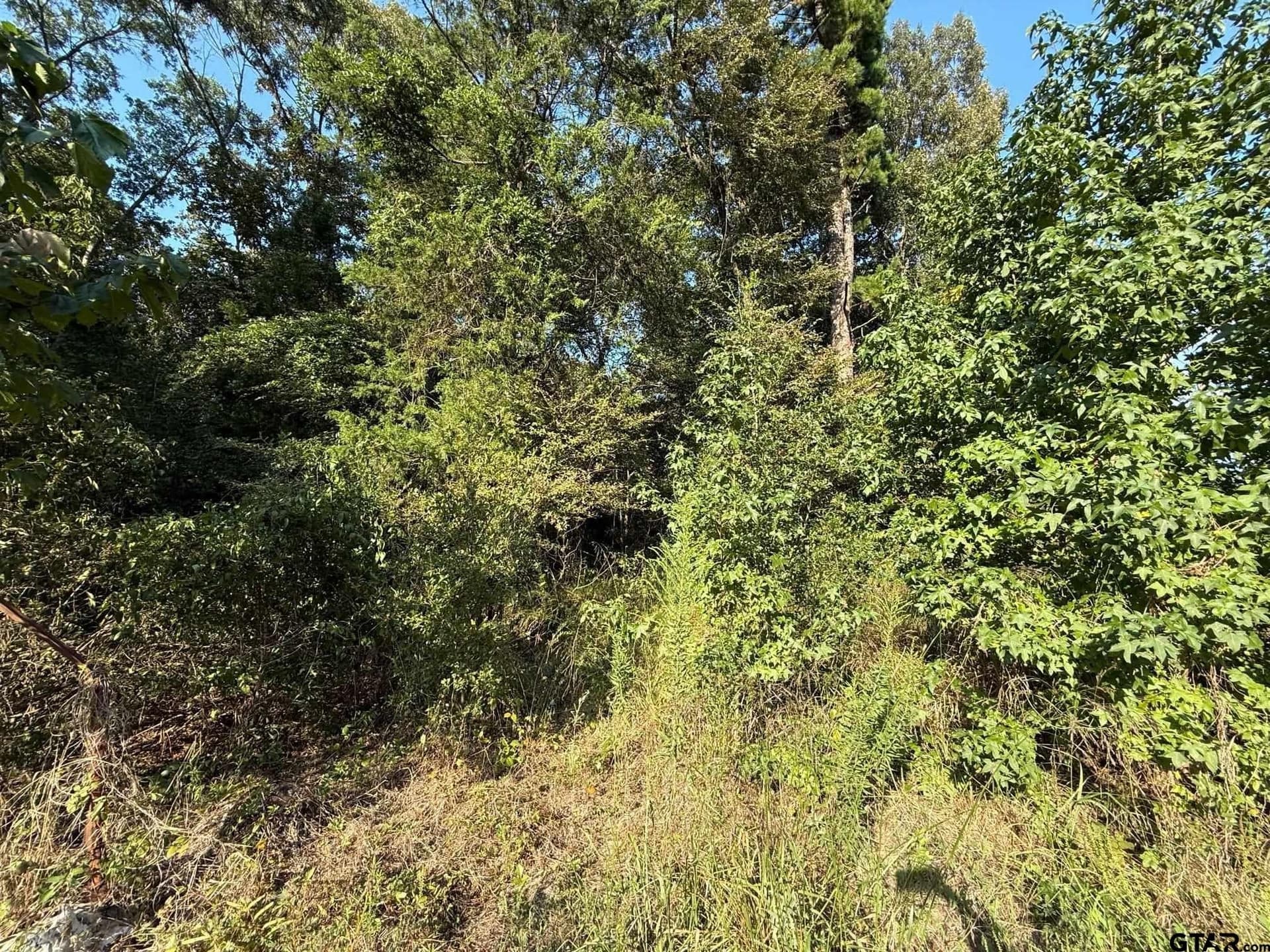 8.69 acres in Wood County - photo 34