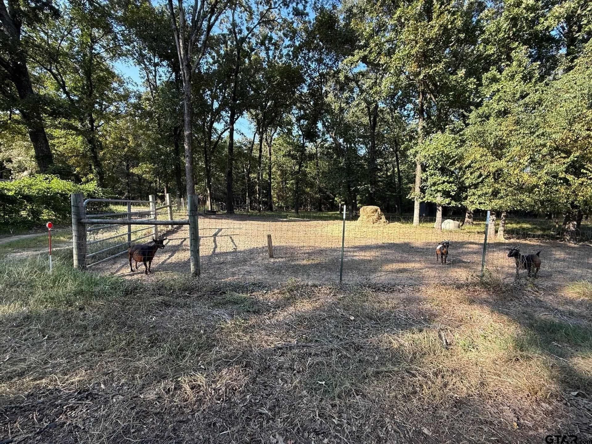 8.69 acres in Wood County - photo 9
