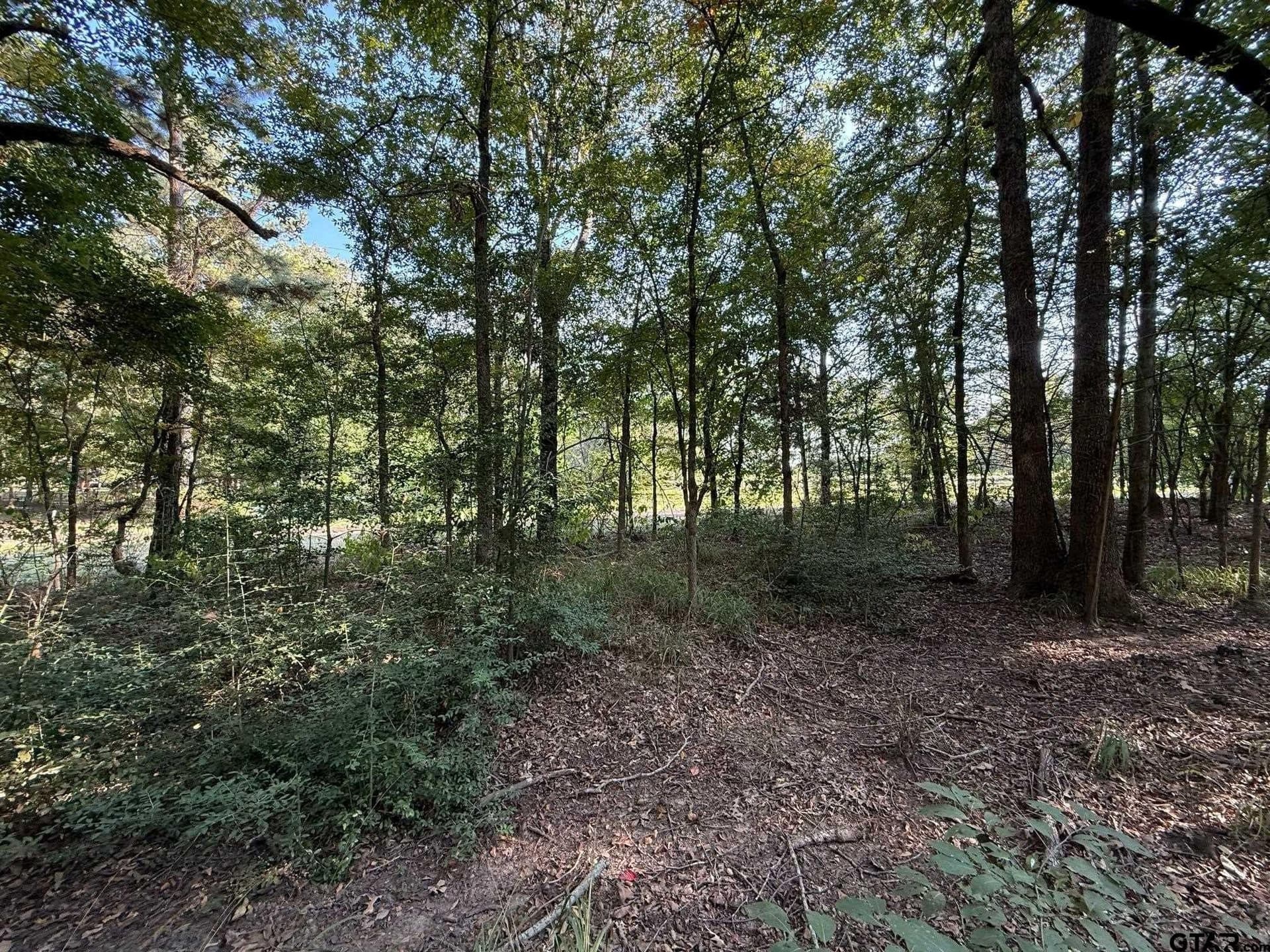 8.69 acres in Wood County - photo 21