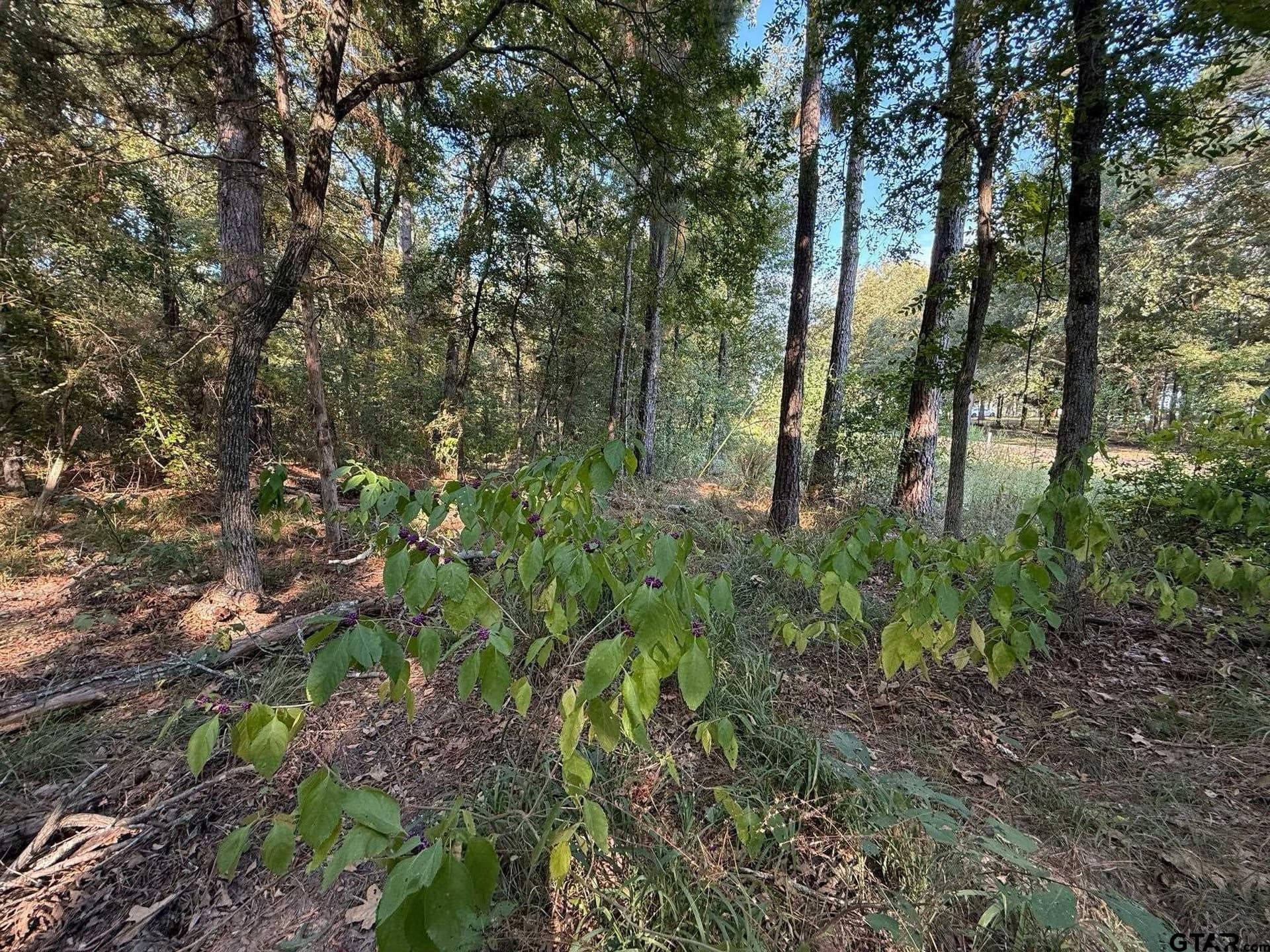 8.69 acres in Wood County - photo 31