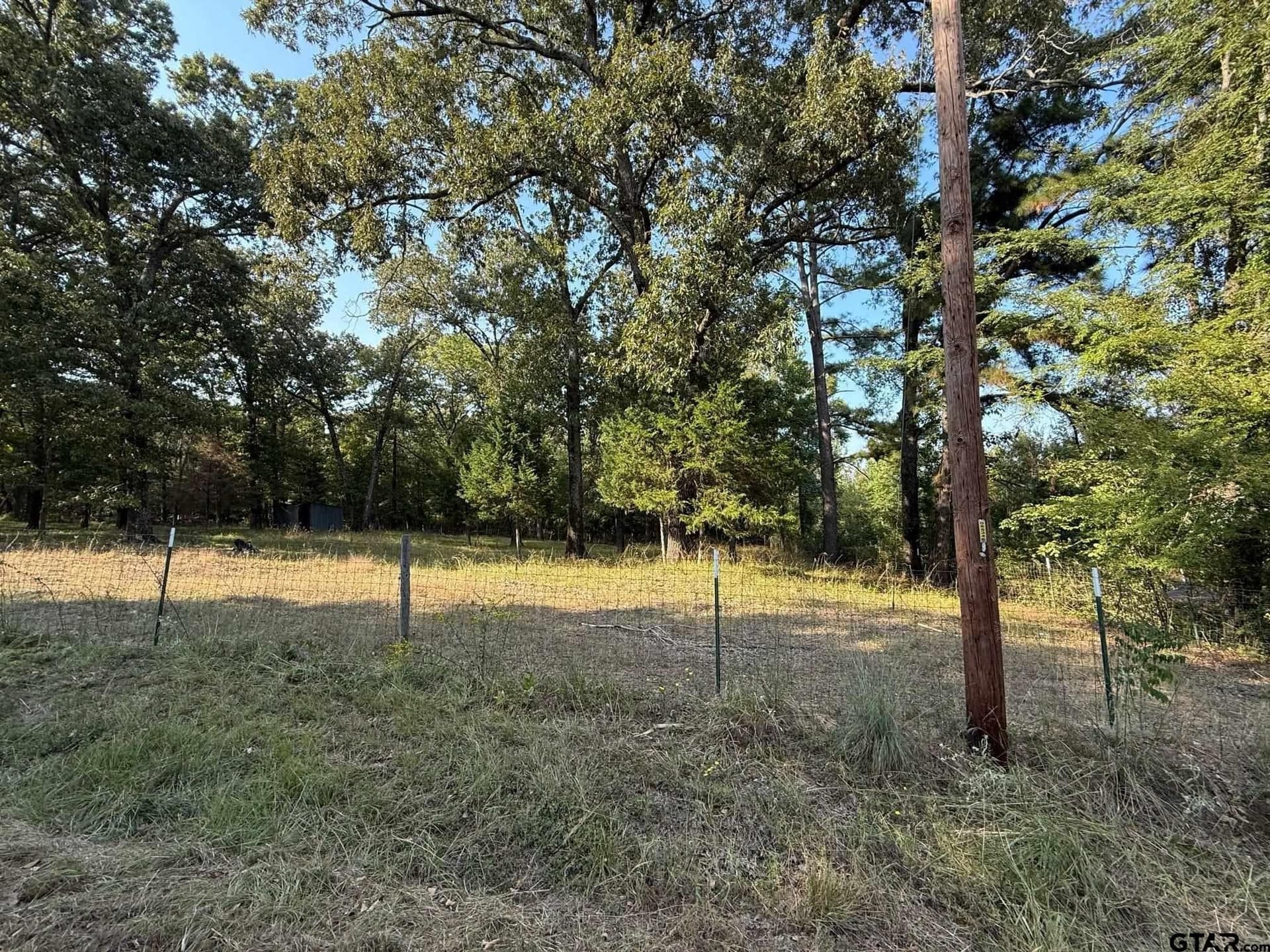 8.69 acres in Wood County - photo 7