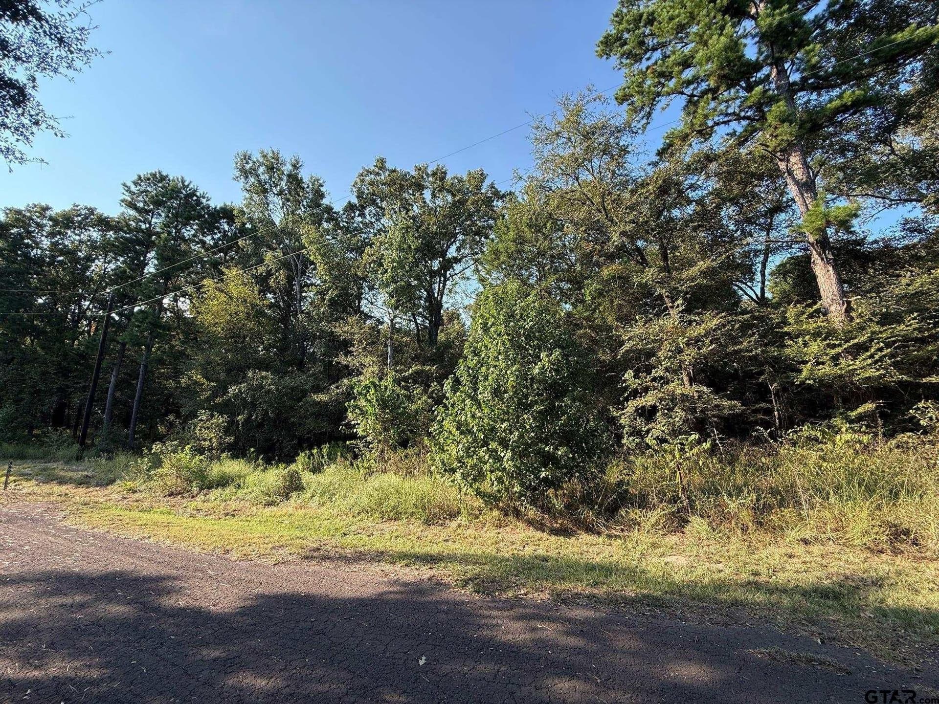 8.69 acres in Wood County - photo 37