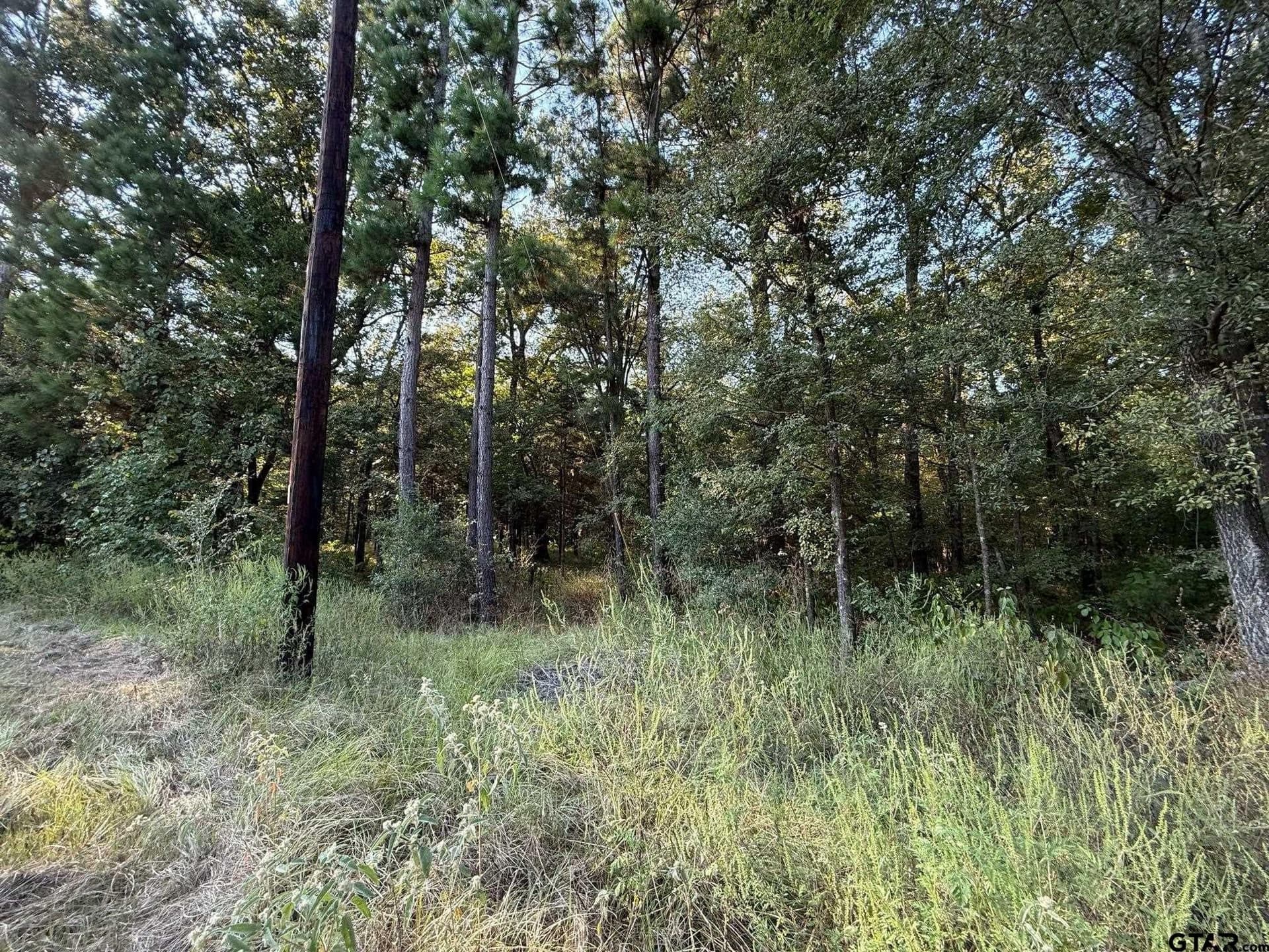 8.69 acres in Wood County - photo 36