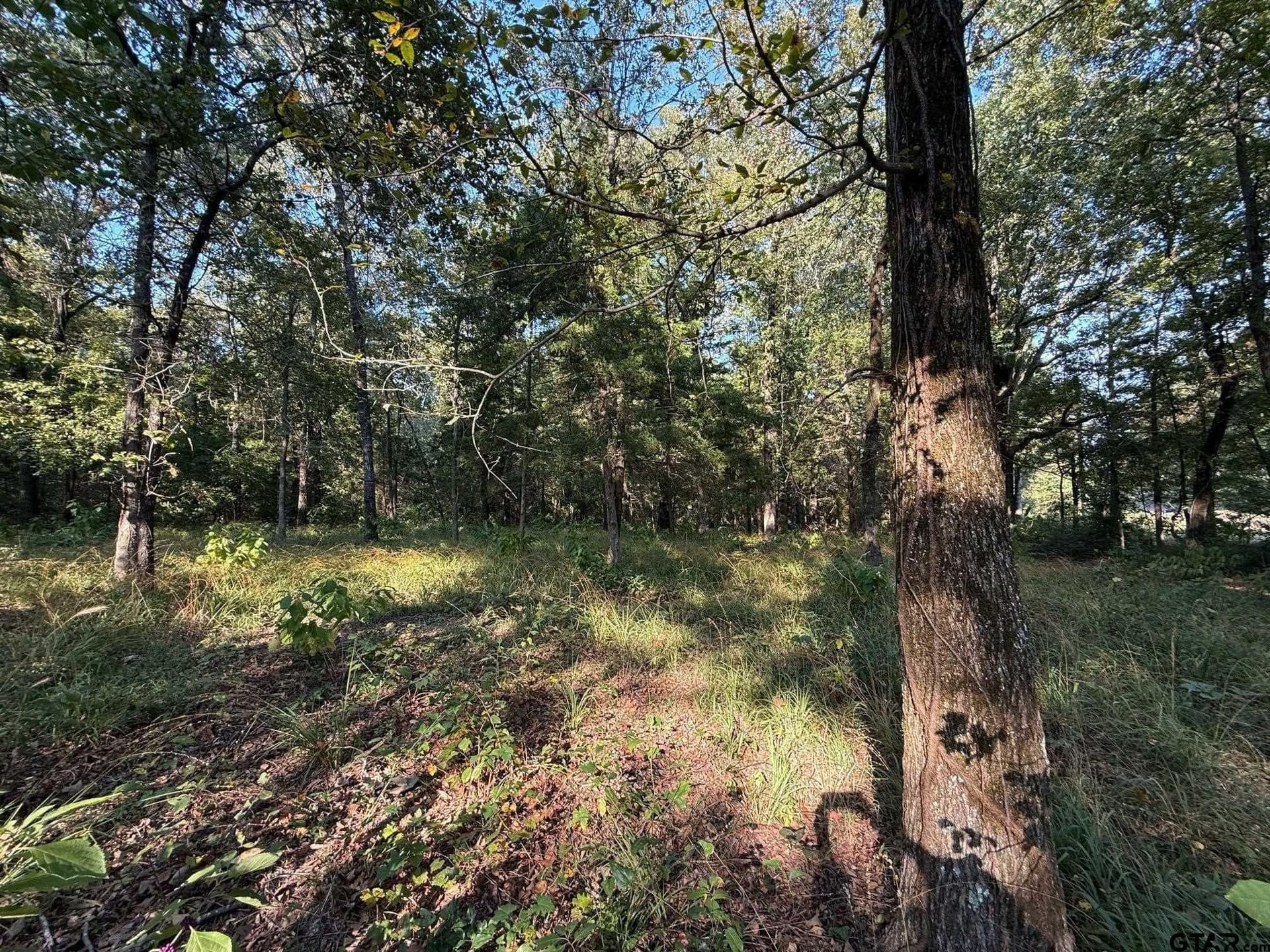 8.69 acres in Wood County - photo 30