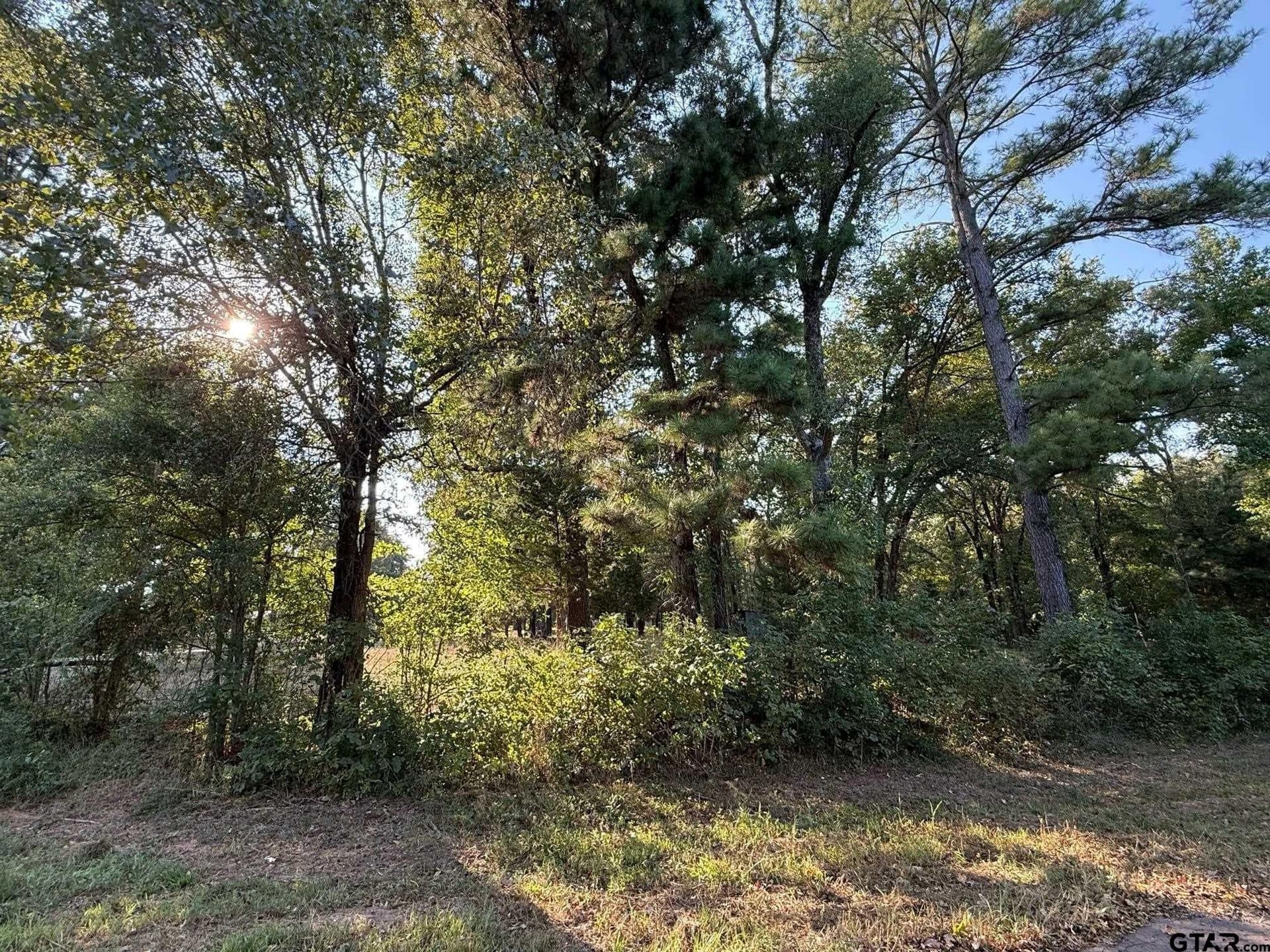 8.69 acres in Wood County - photo 22