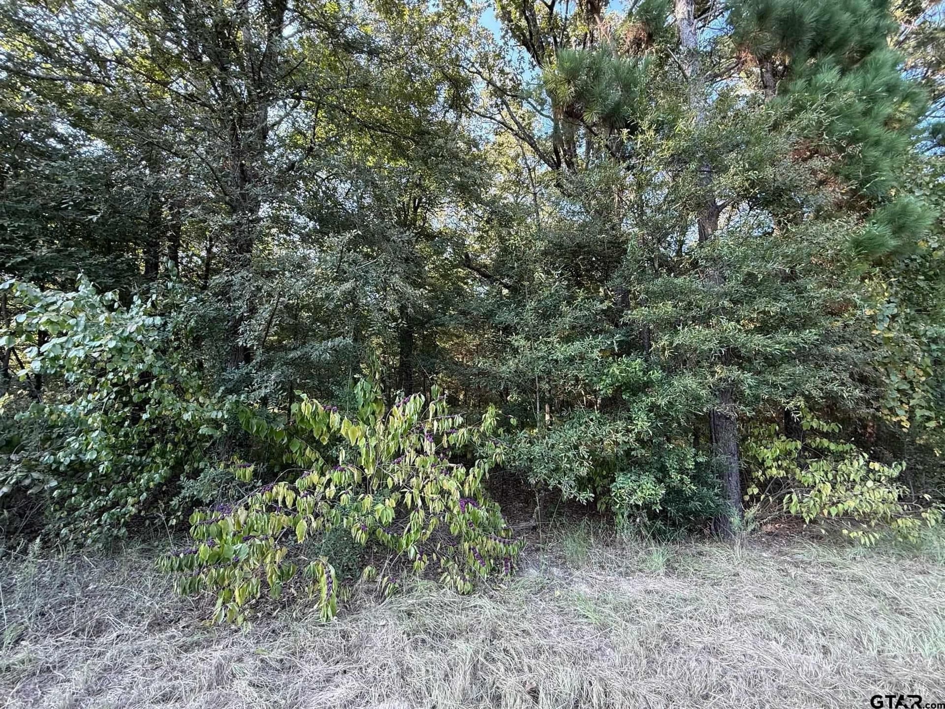 8.69 acres in Wood County - photo 33