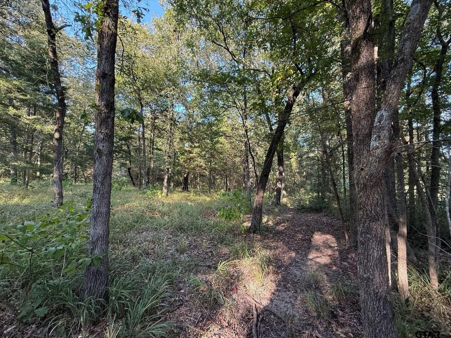 8.69 acres in Wood County - photo 20