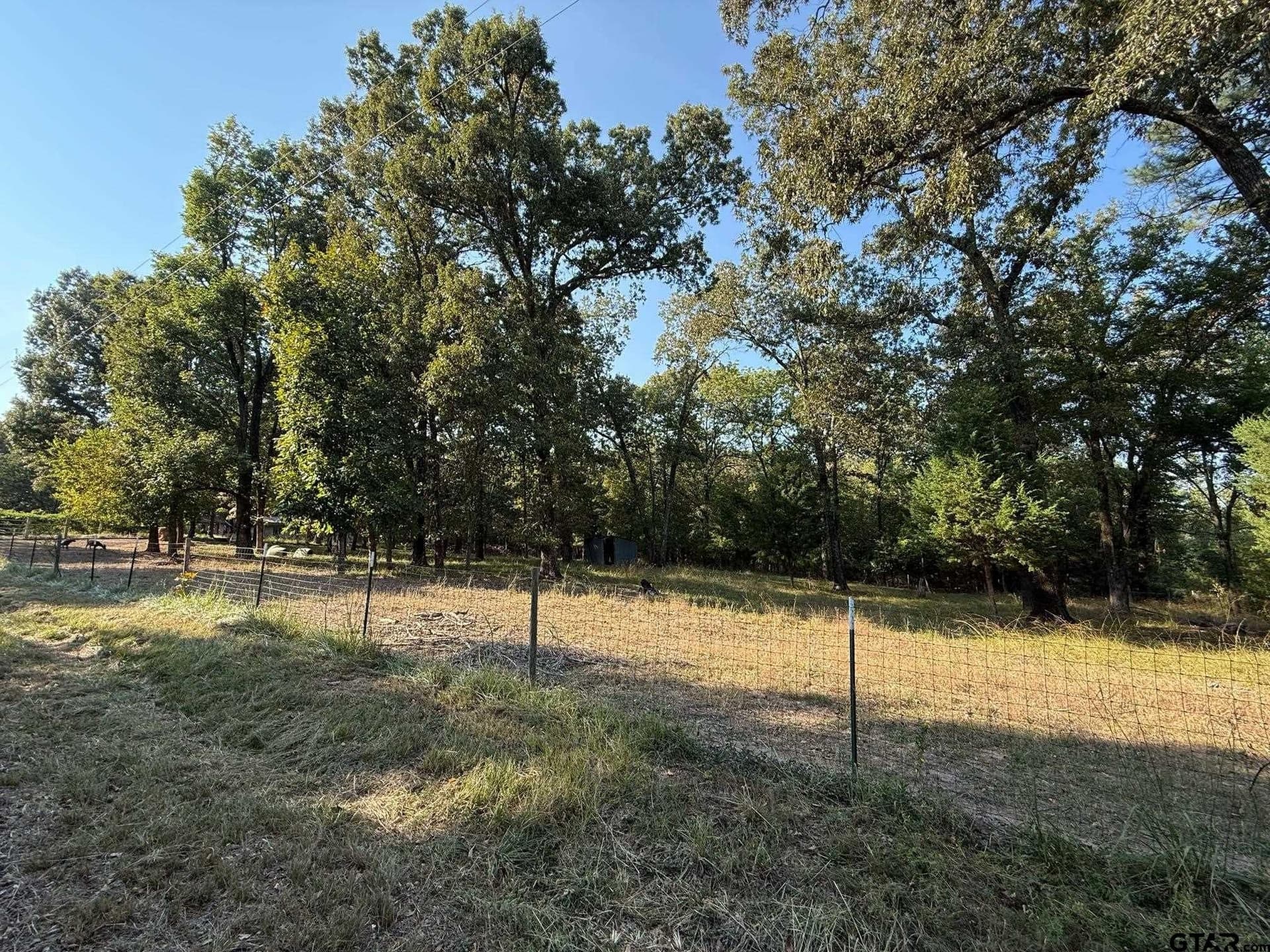 8.69 acres in Wood County - photo 11