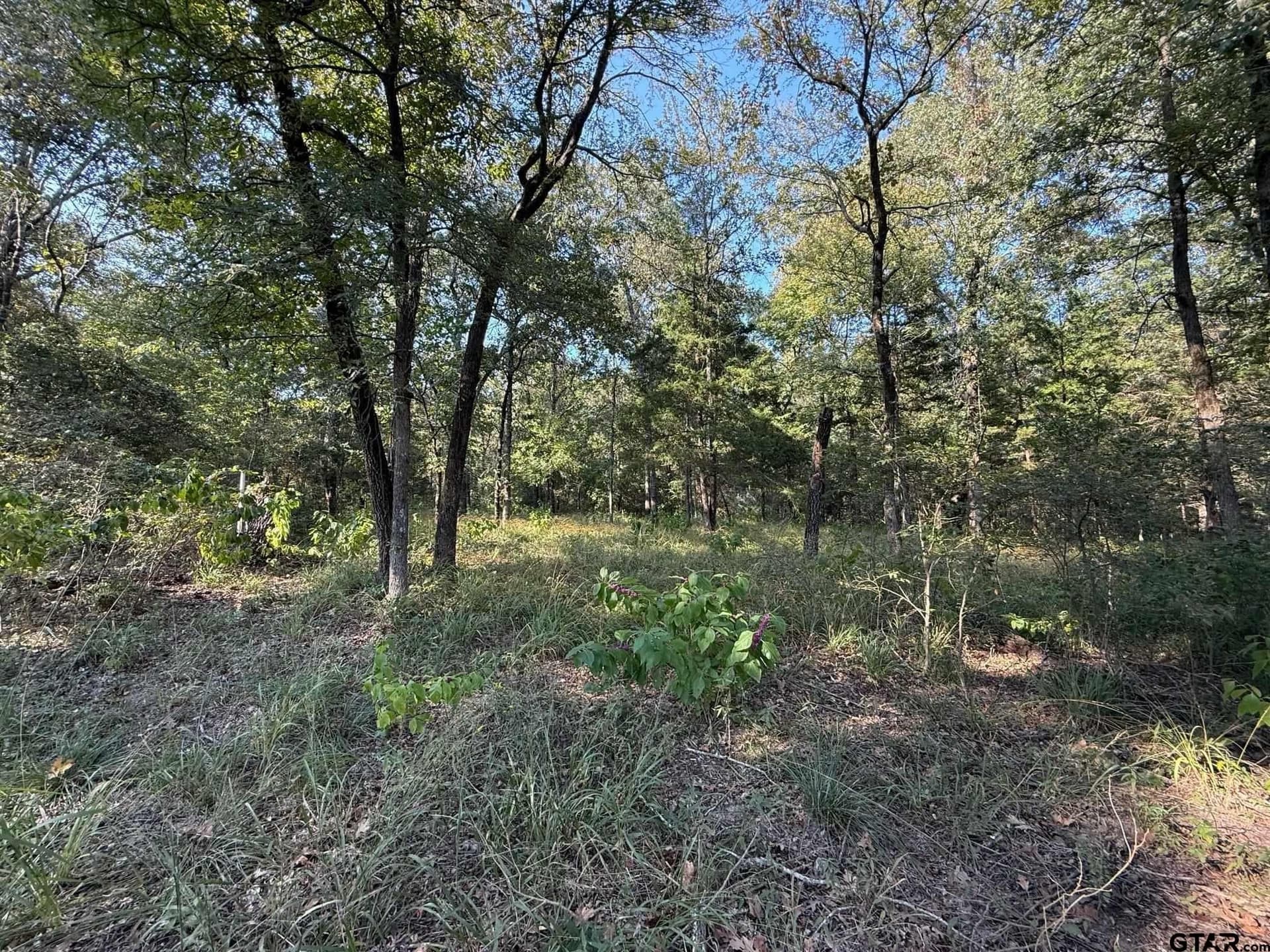 8.69 acres in Wood County - photo 18