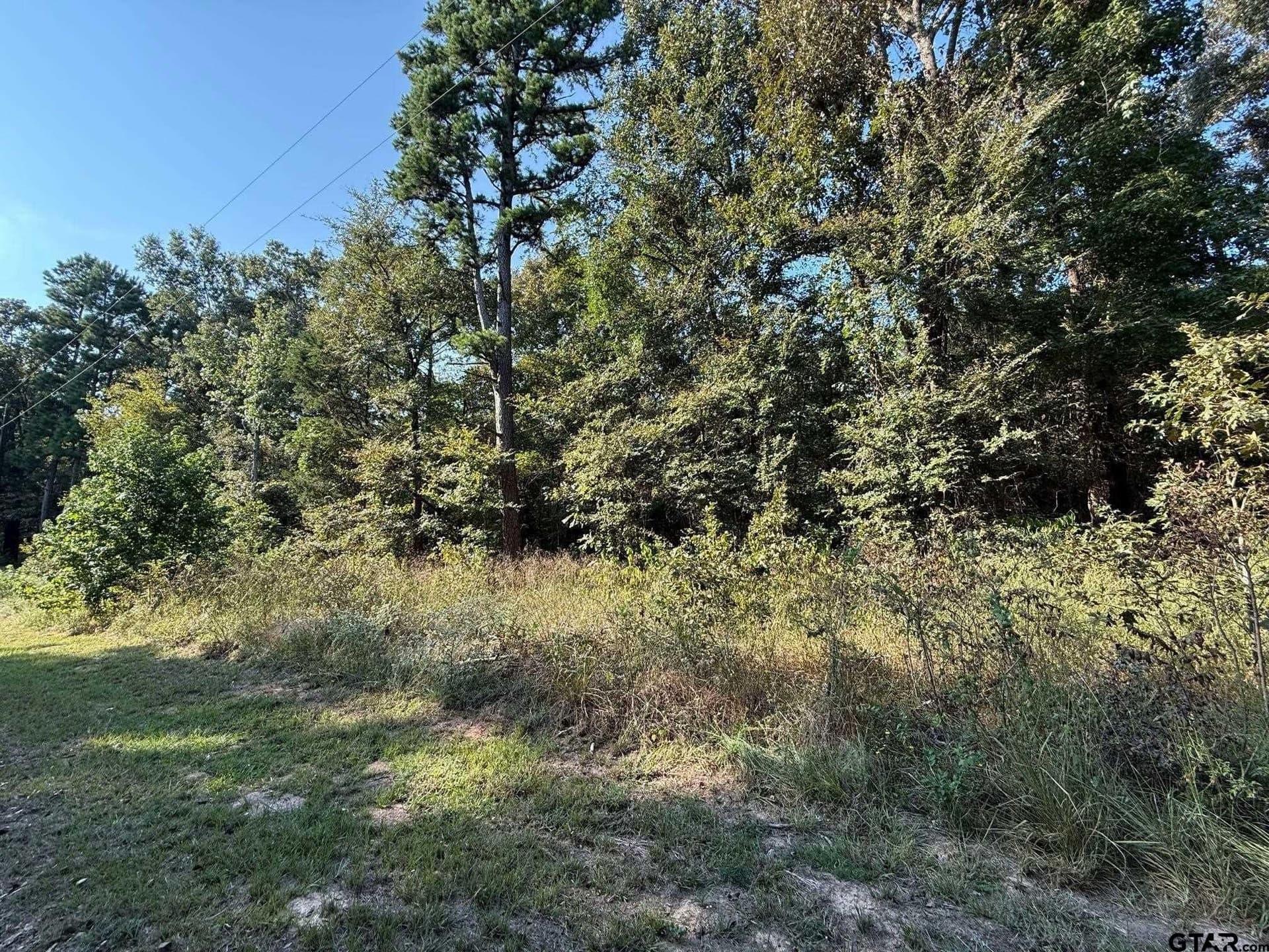 8.69 acres in Wood County - photo 13