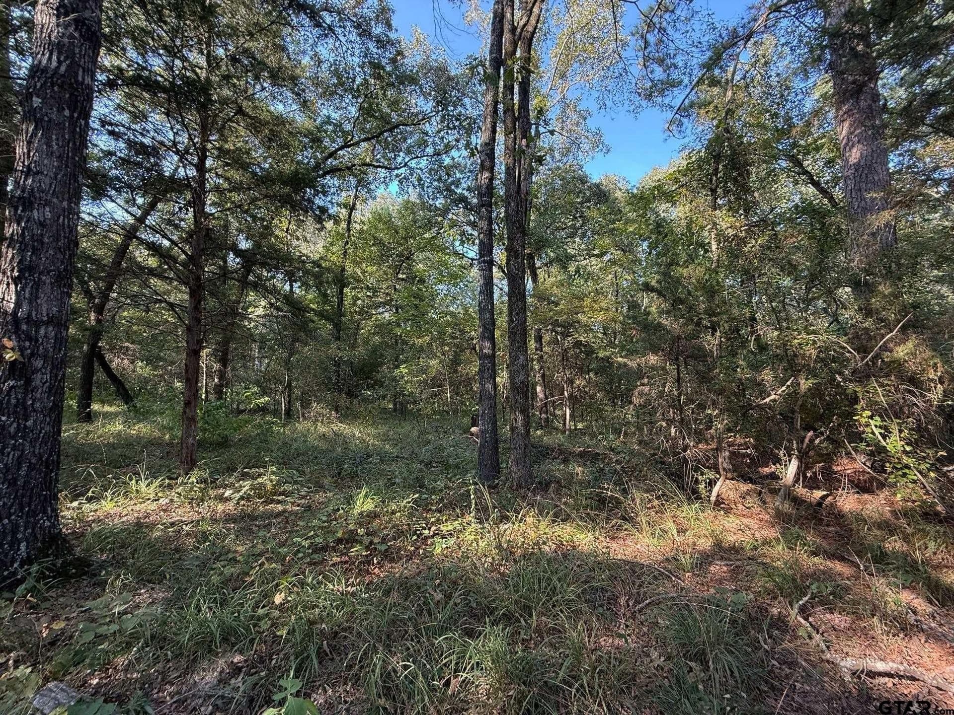 8.69 acres in Wood County - photo 26