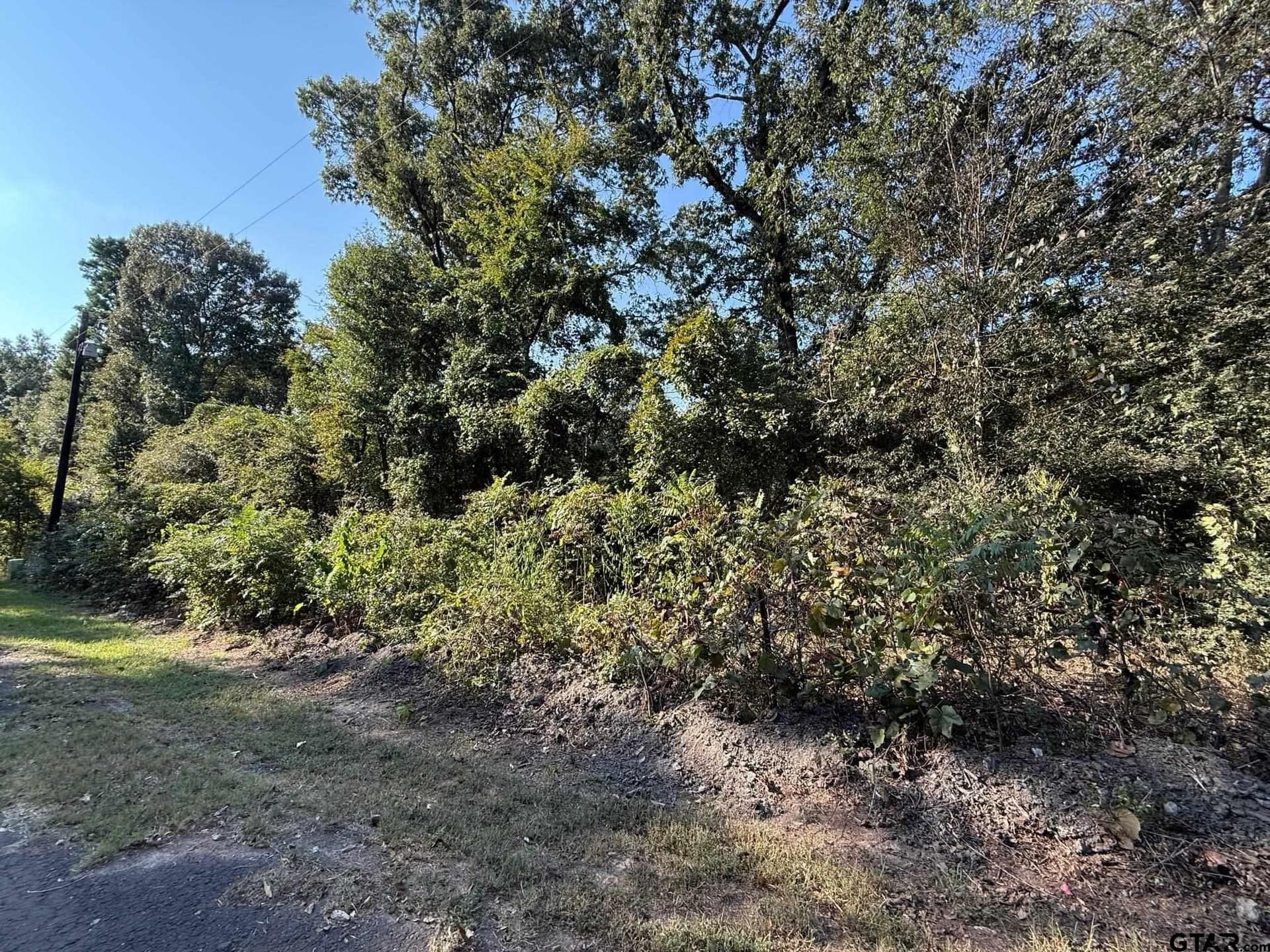 8.69 acres in Wood County - photo 14