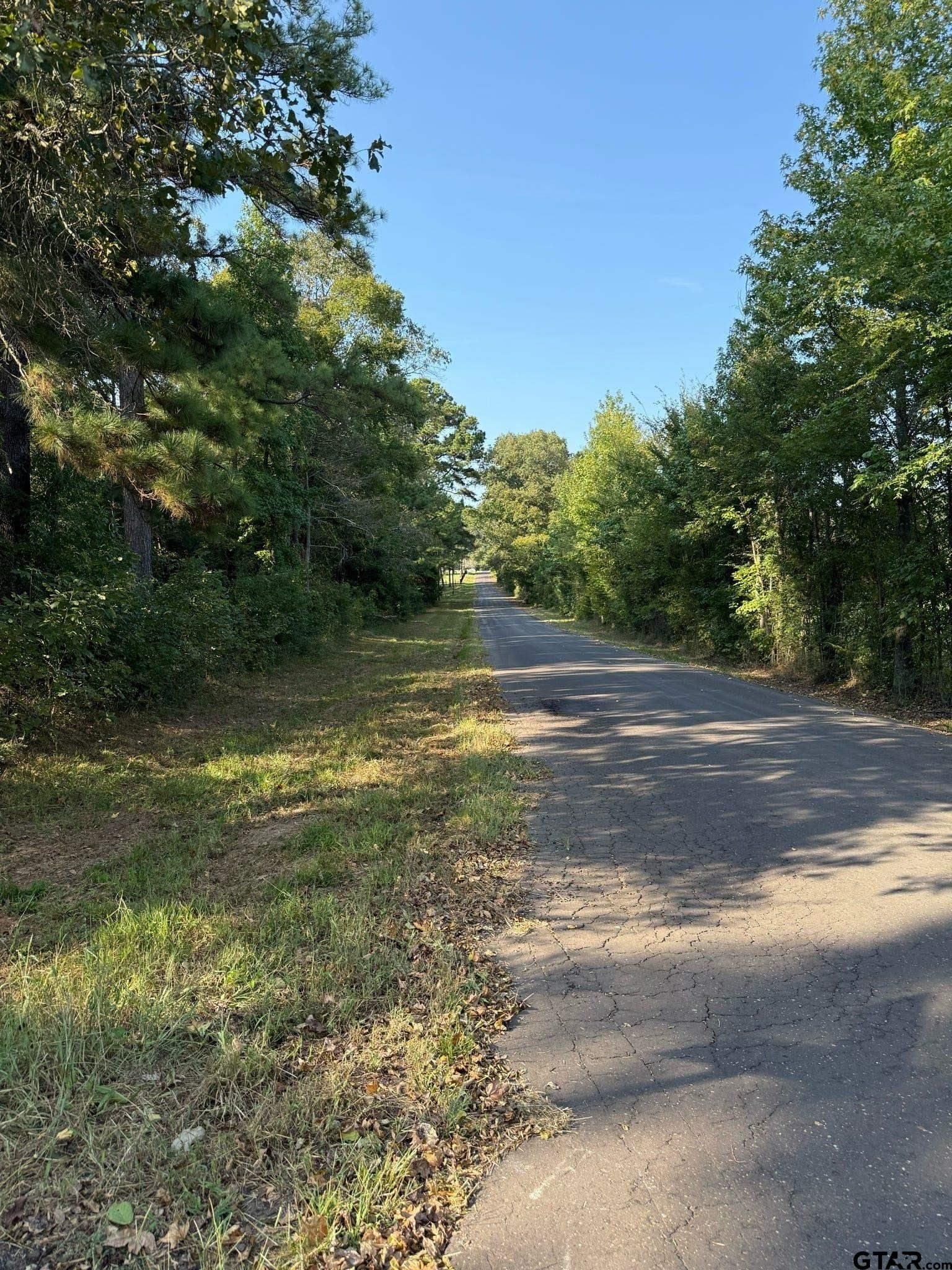 8.69 acres in Wood County - photo 2