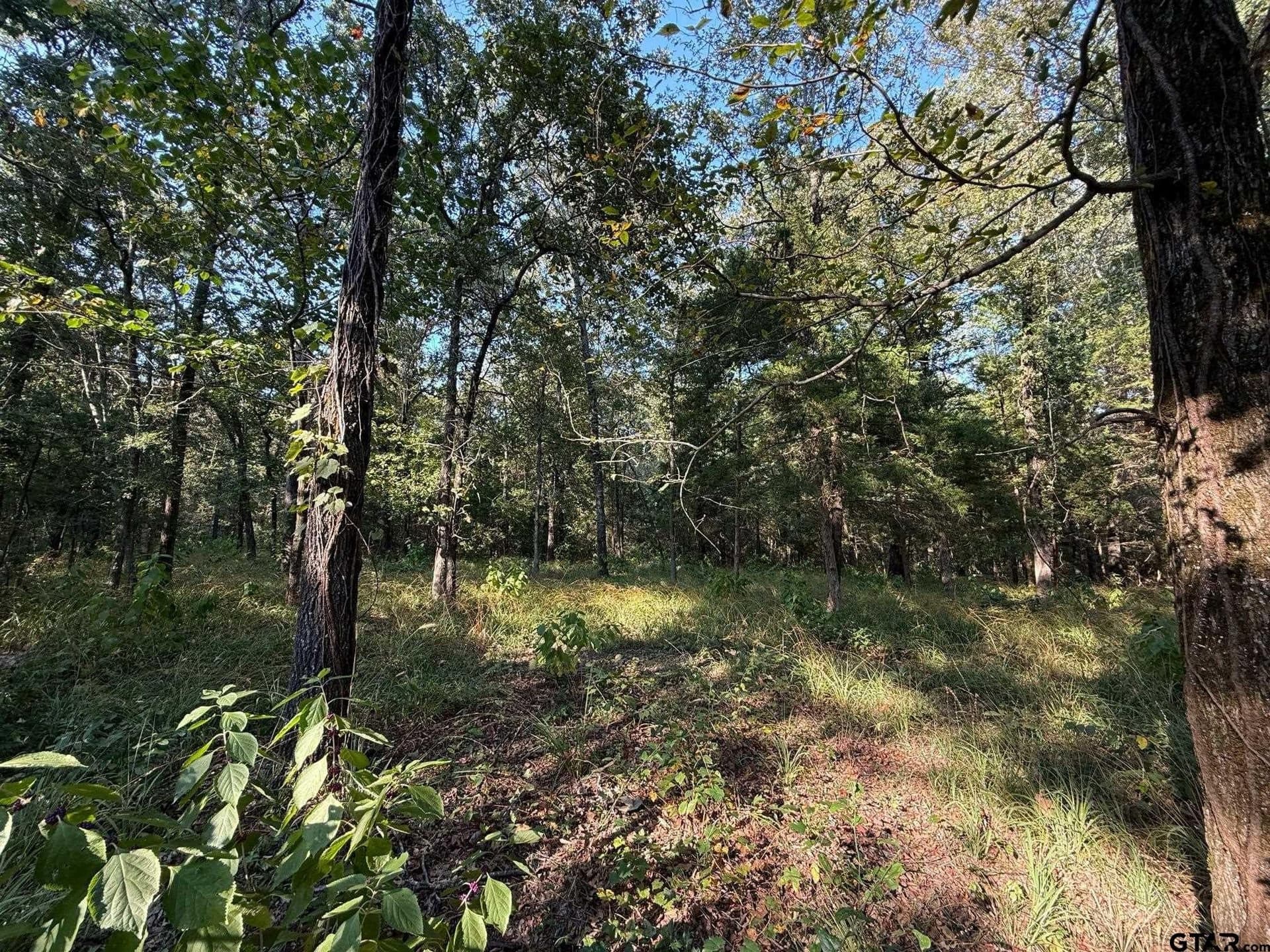8.69 acres in Wood County - photo 27