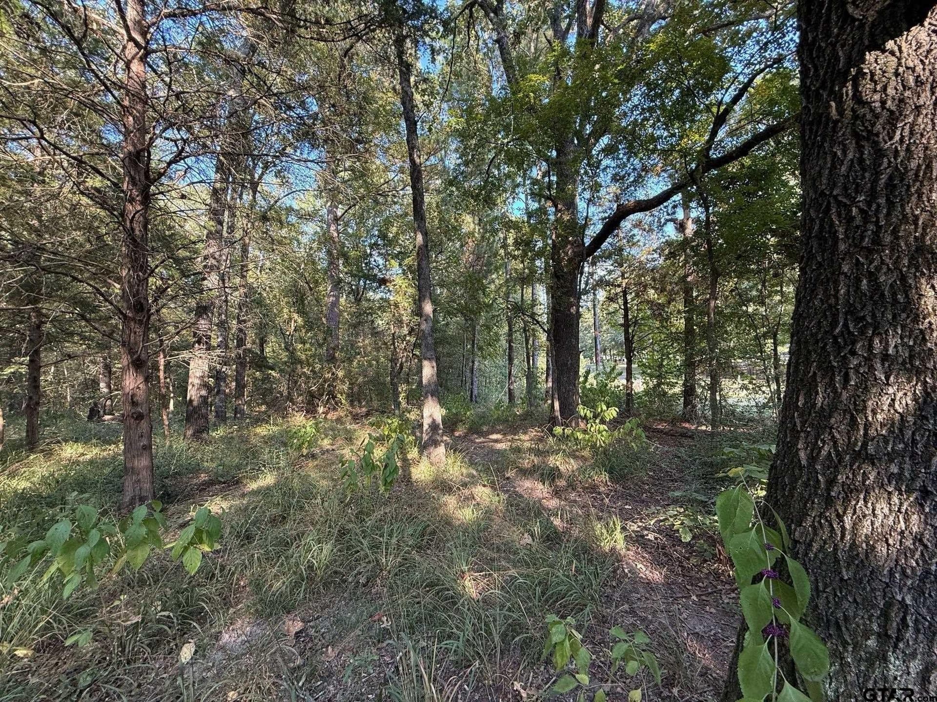 8.69 acres in Wood County - photo 19