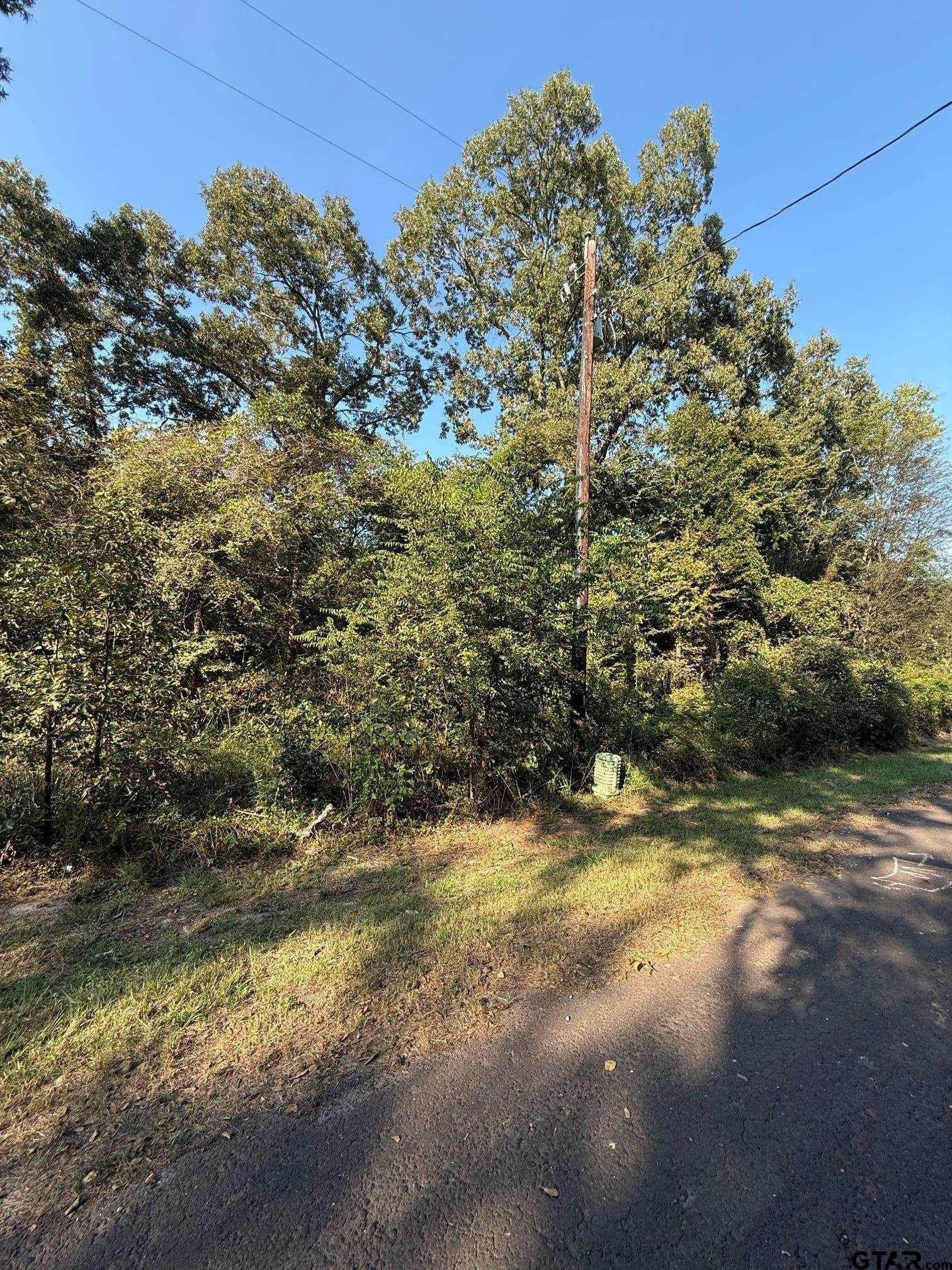 8.69 acres in Wood County - photo 35