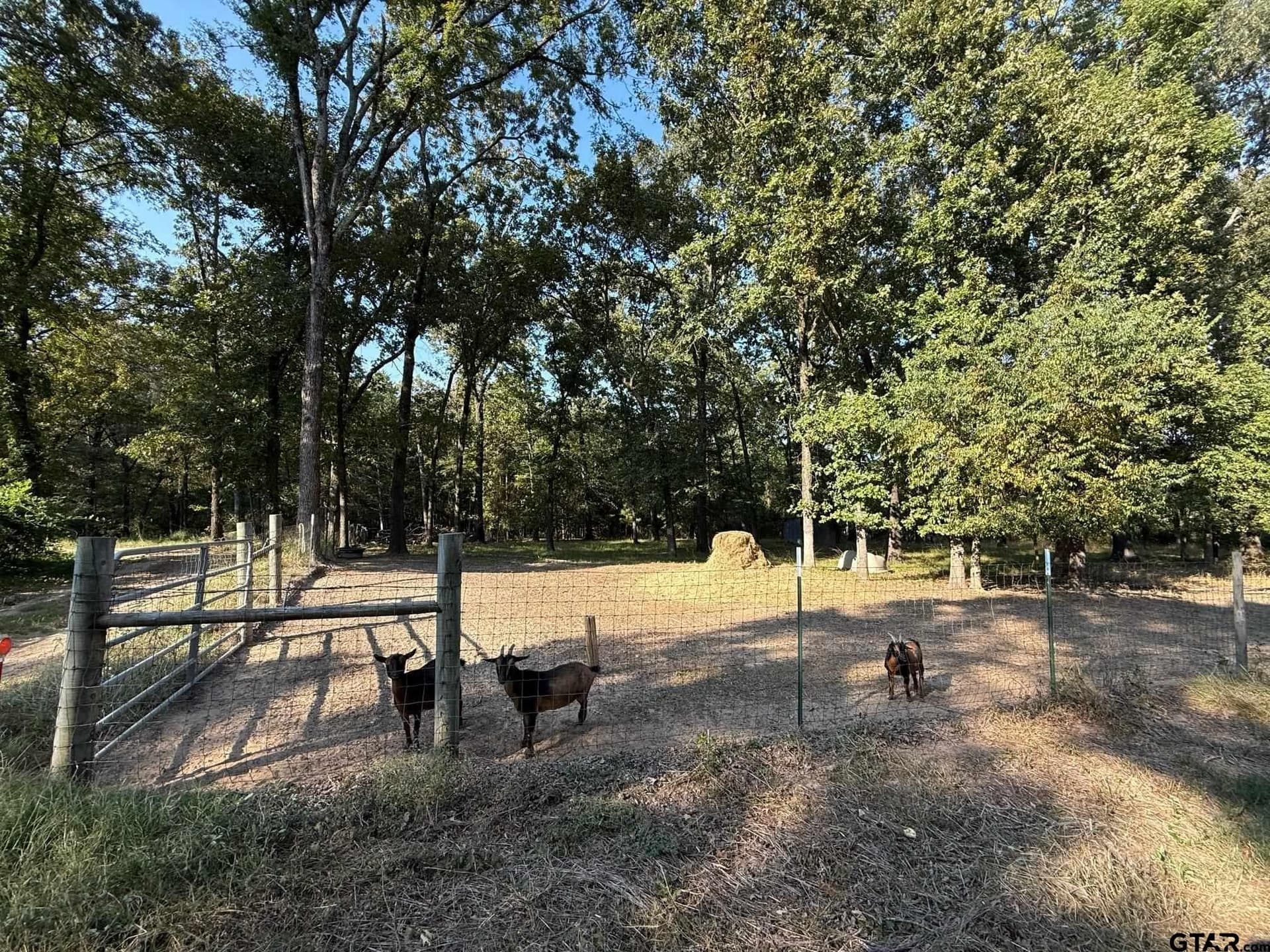 8.69 acres in Wood County - photo 8