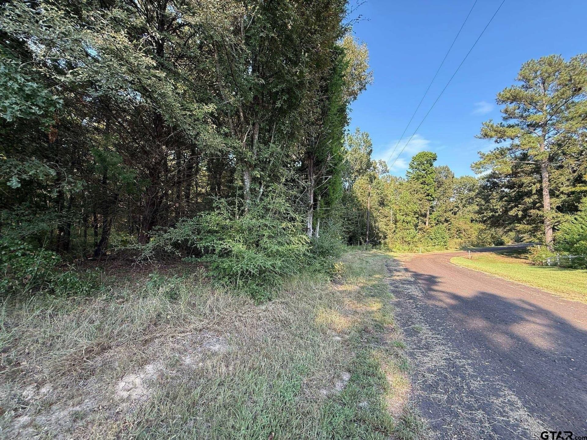 8.69 acres in Wood County - photo 15