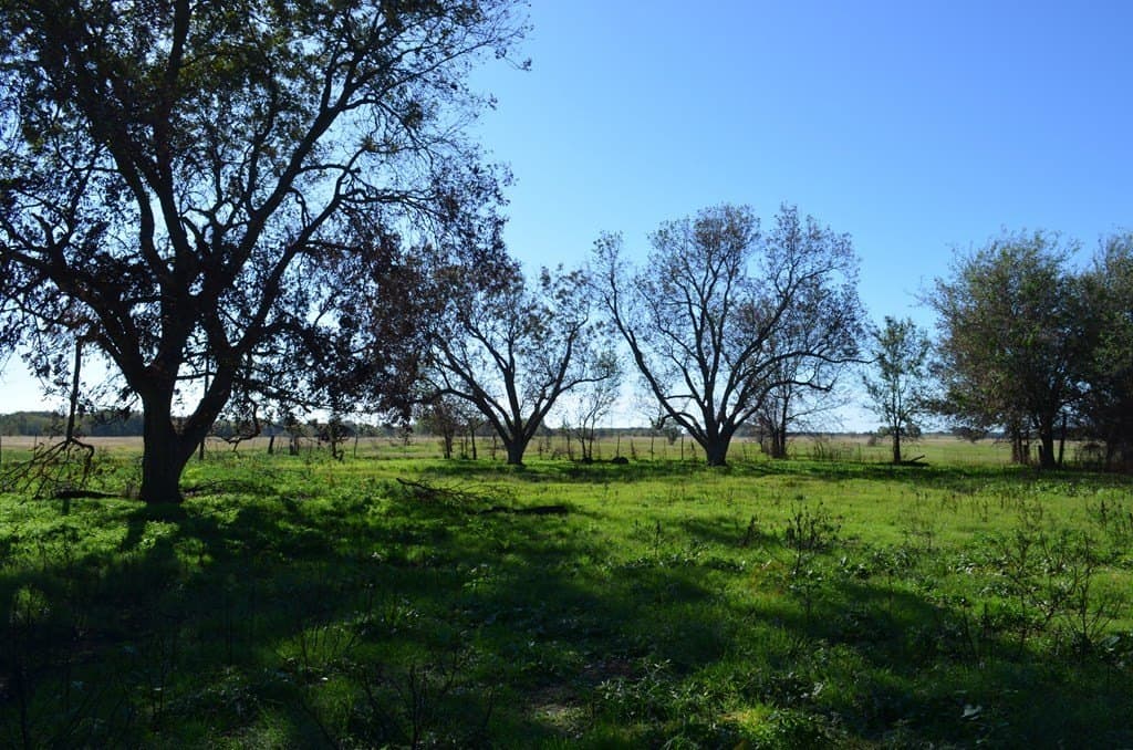 15.01 acres in Van Zandt County - photo 14