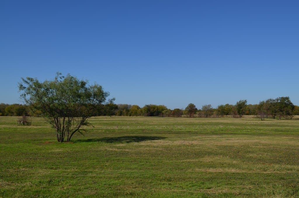 15.01 acres in Van Zandt County - photo 11