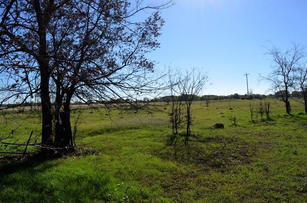 15.01 acres in Van Zandt County - photo 6