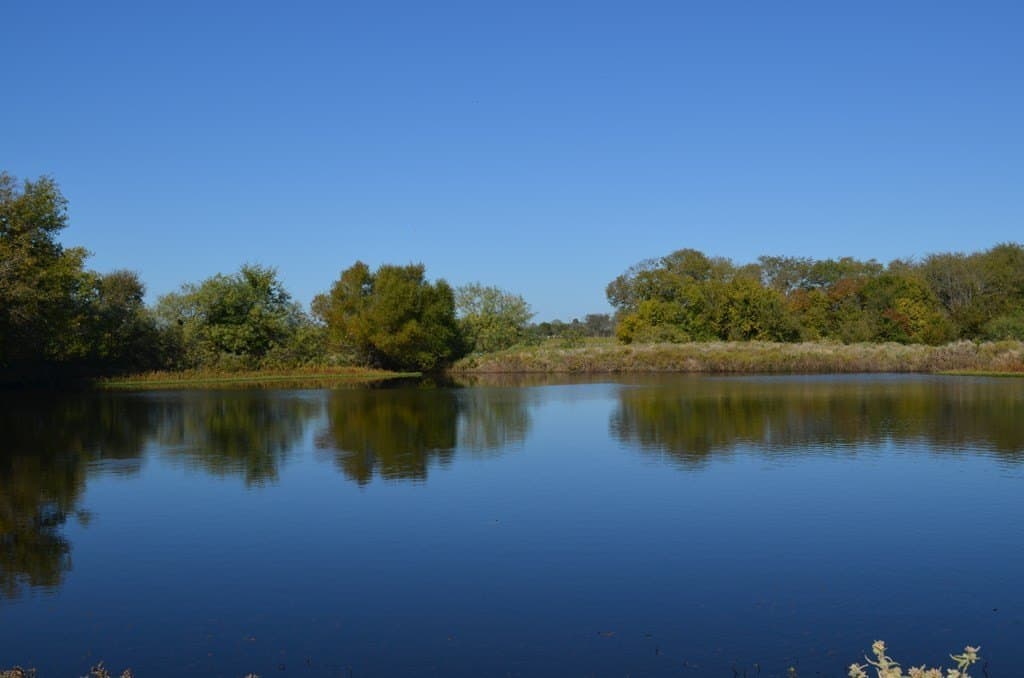 15.01 acres in Van Zandt County - photo 7