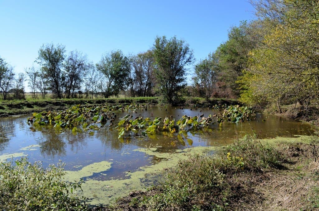 15.01 acres in Van Zandt County - photo 13
