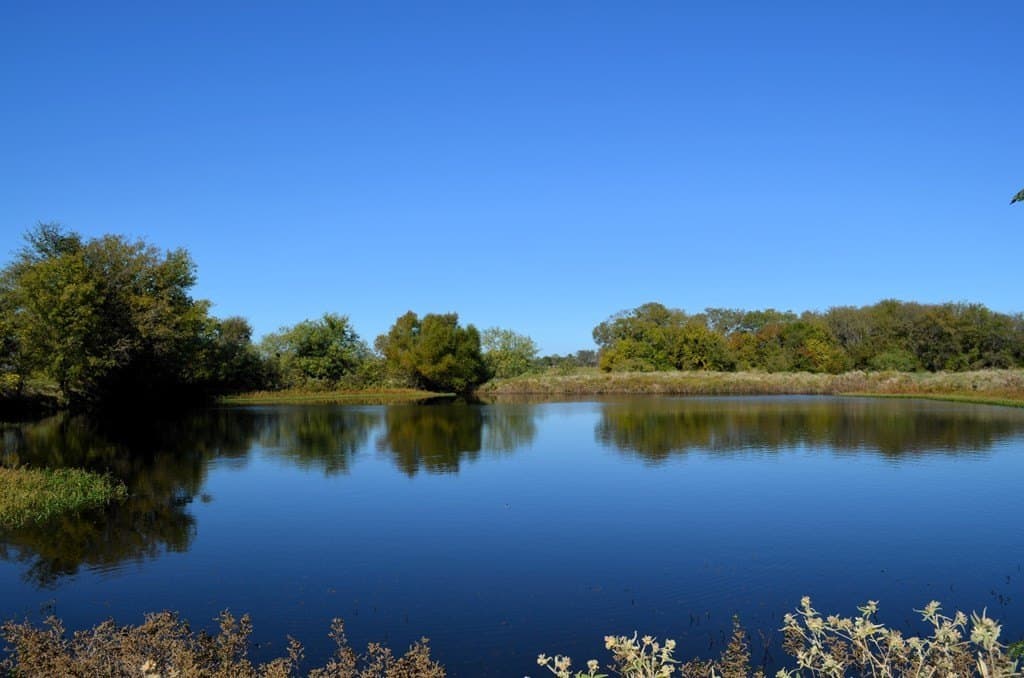 15.01 acres in Van Zandt County - photo 8