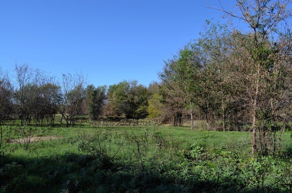 15.01 acres in Van Zandt County - photo 4
