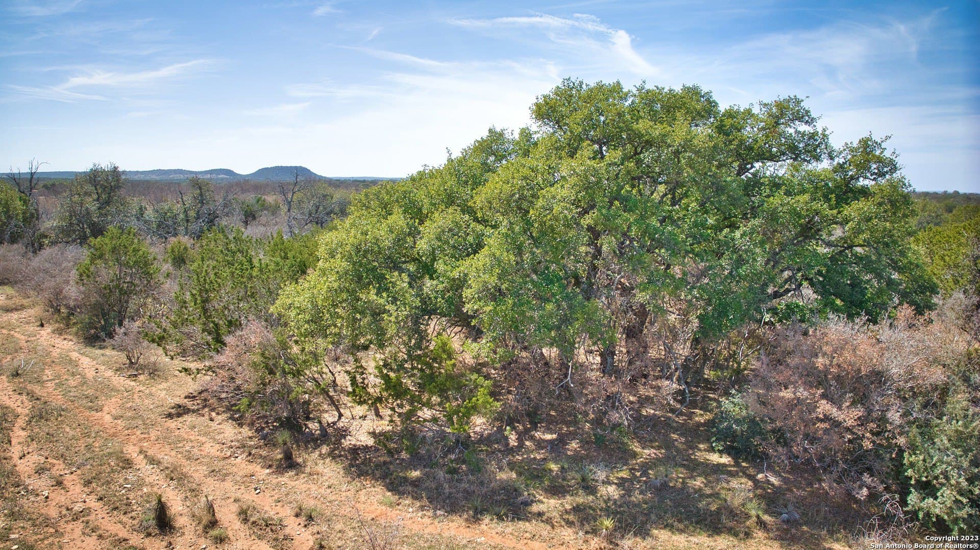 0 acres in Mason Co County - photo 36