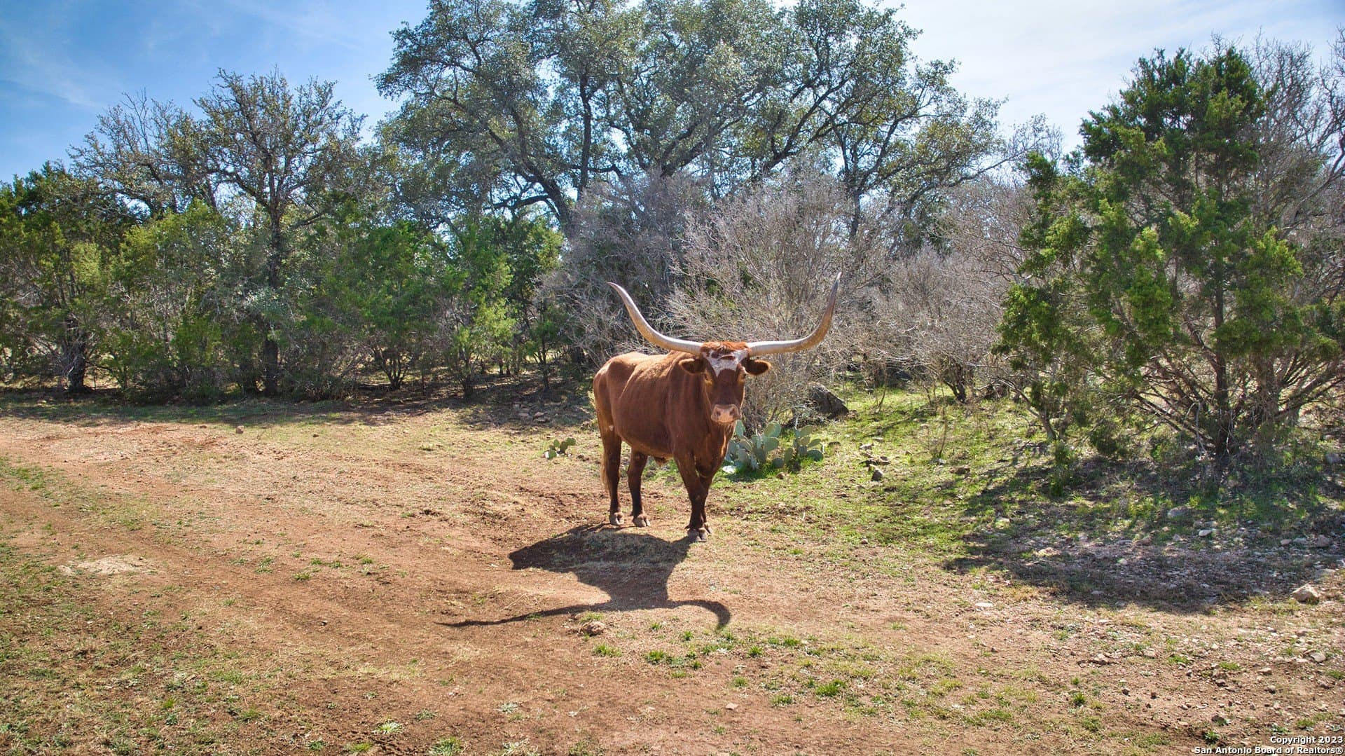 0 acres in Mason Co County - photo 35