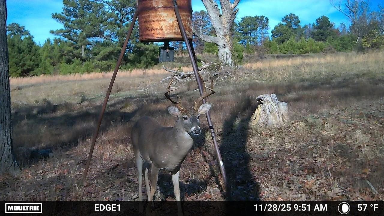 110.56 acres in Harrison County - photo 17