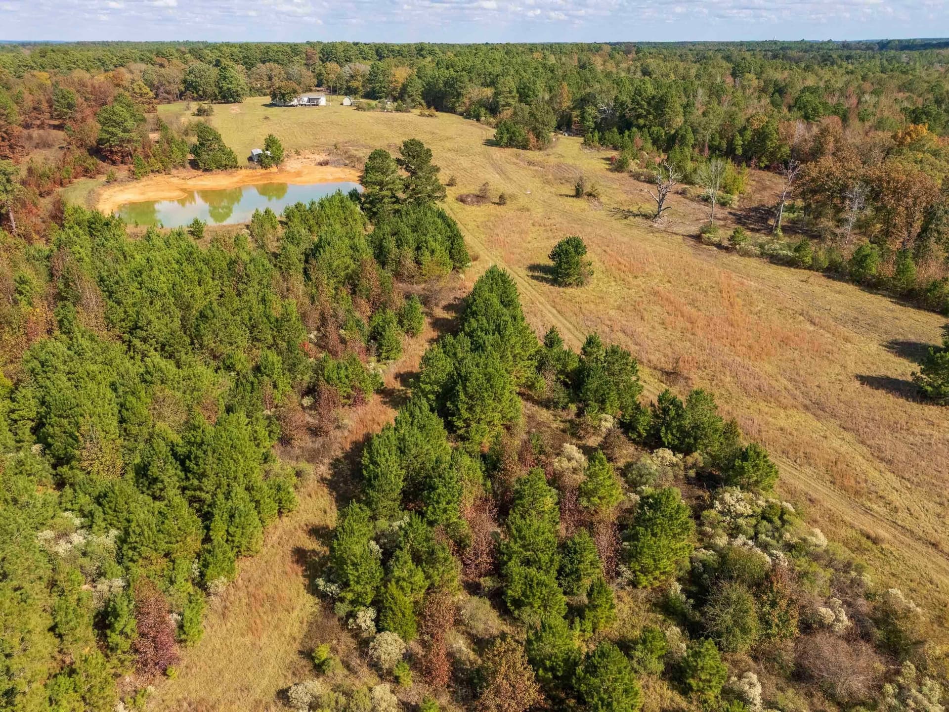 110.56 acres in Harrison County - photo 10