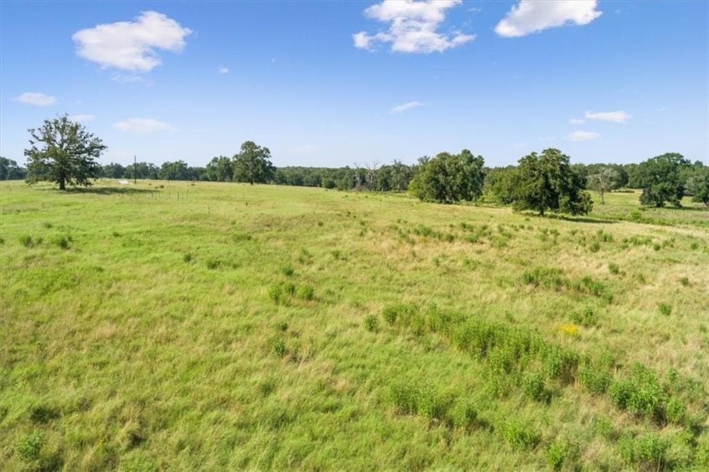 20.04 acres in Limestone County - photo 3