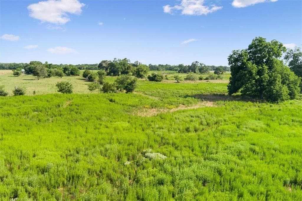 20.04 acres in Limestone County - photo 6