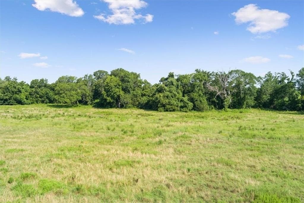 20.04 acres in Limestone County - photo 10