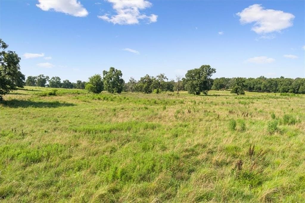 20.04 acres in Limestone County - photo 12