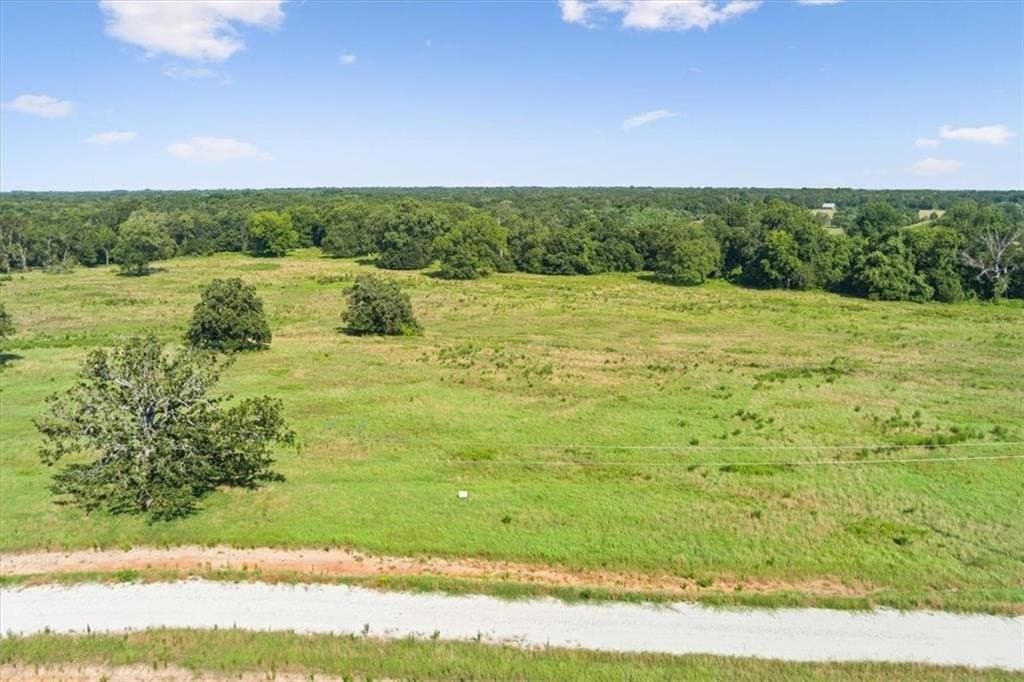 20.04 acres in Limestone County - photo 17