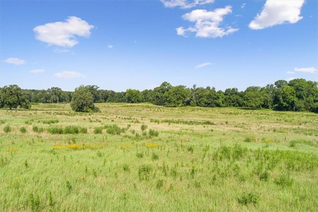 20.04 acres in Limestone County - photo 18