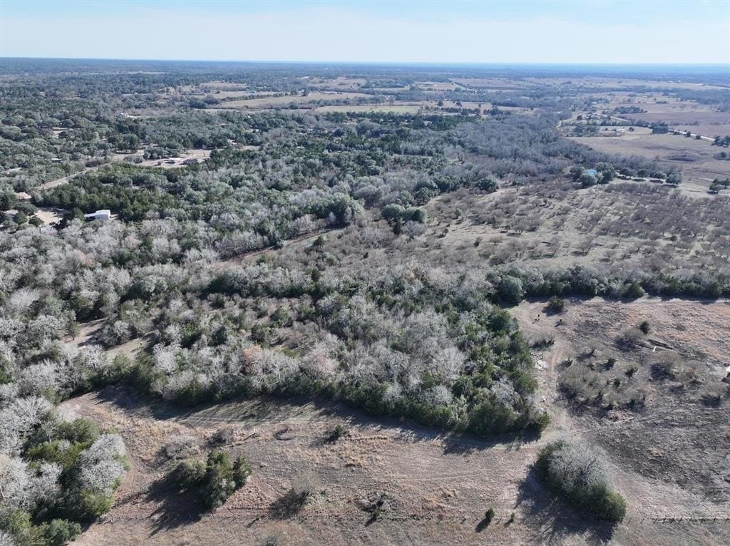 35 acres in Colorado County - photo 7