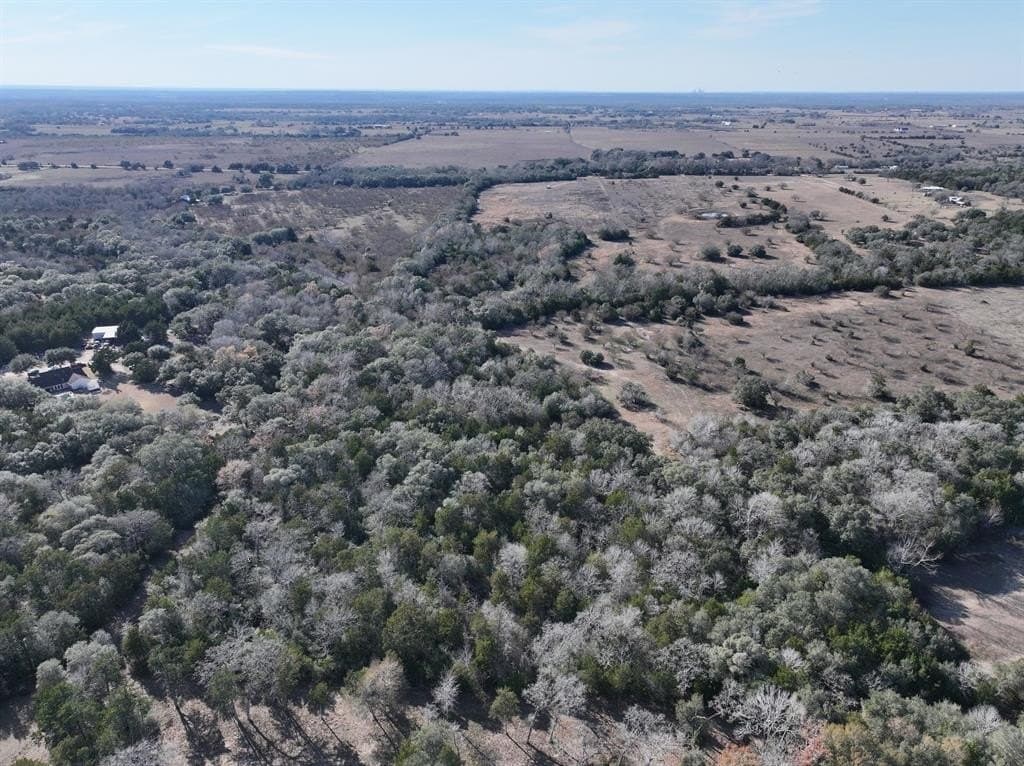35 acres in Colorado County - photo 5