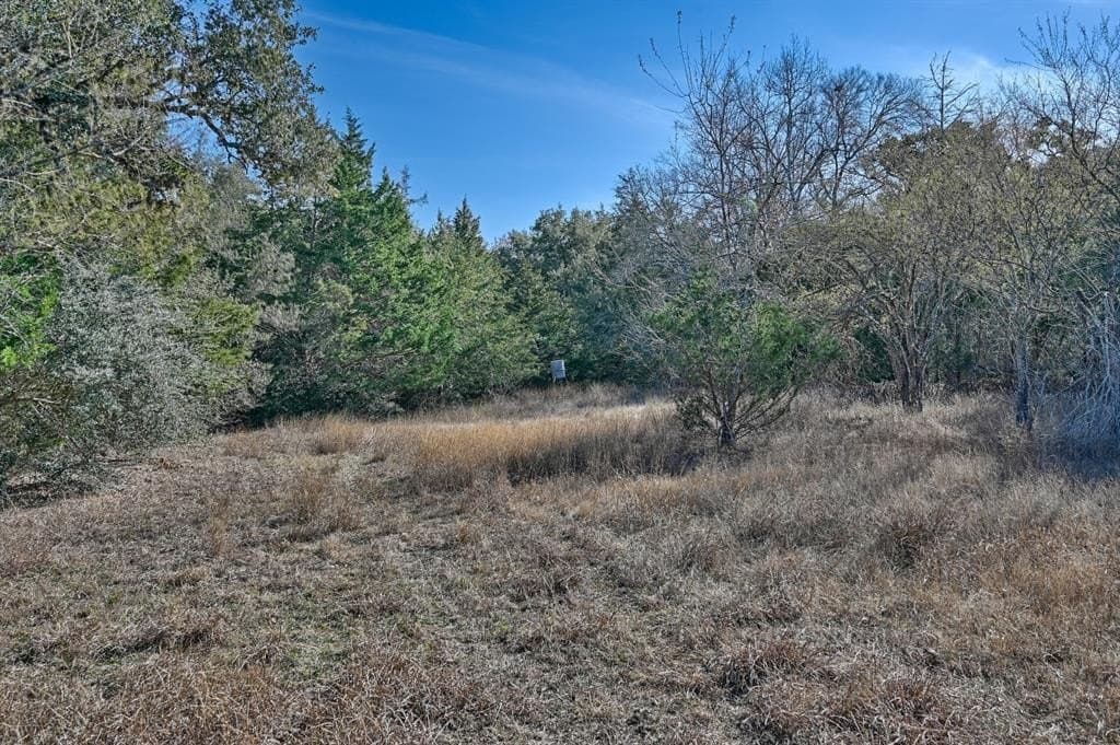 35 acres in Colorado County - photo 20