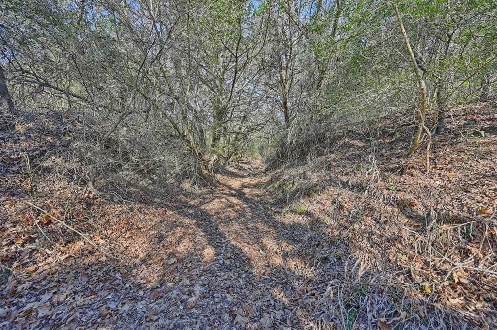 35 acres in Colorado County - photo 13