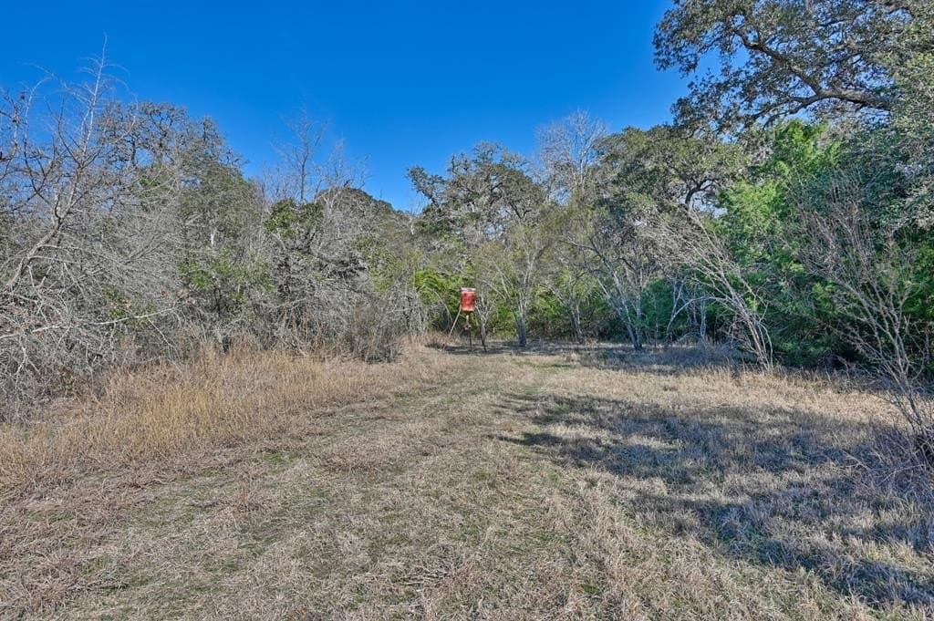 35 acres in Colorado County - photo 19