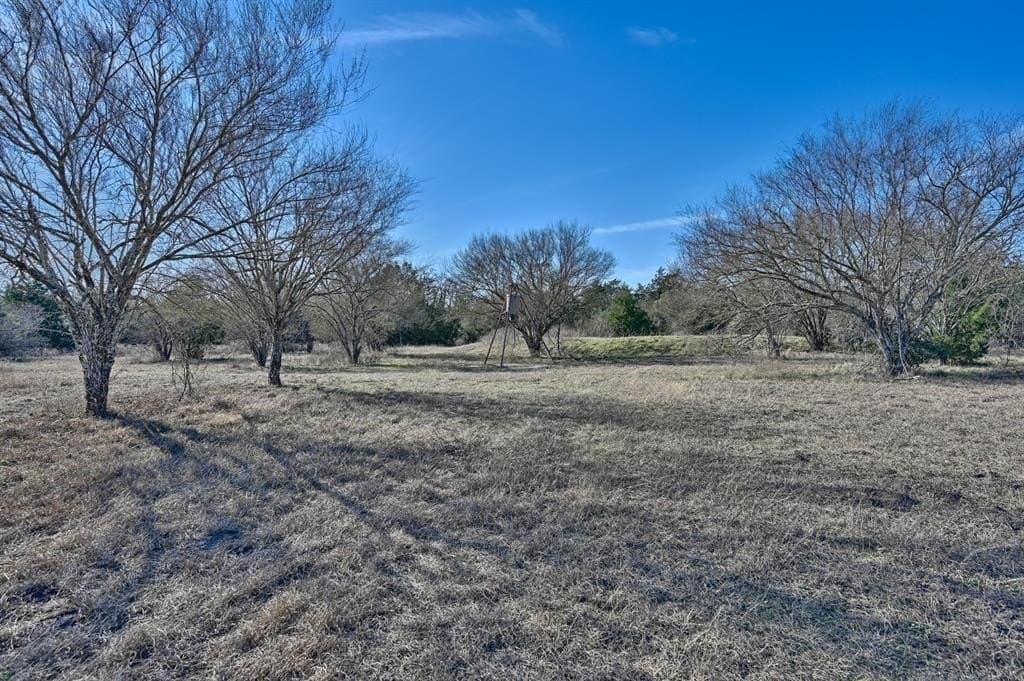 35 acres in Colorado County - photo 17