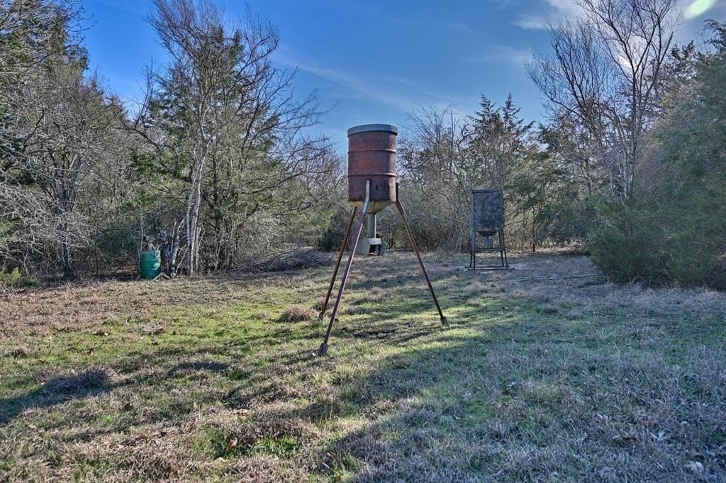 35 acres in Colorado County - photo 15